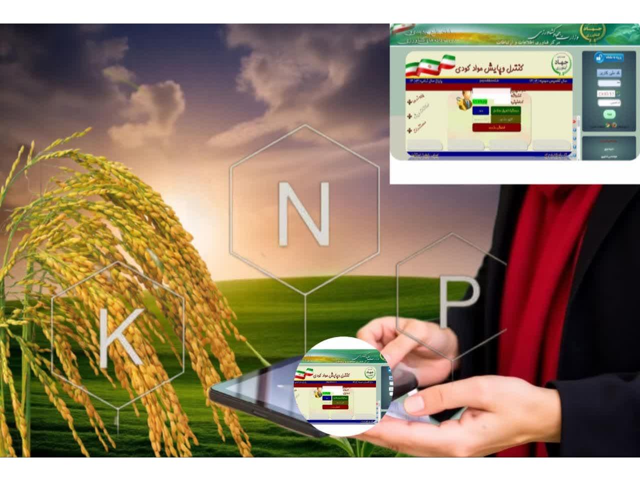 توزیع ۴۸۰۰ تن کود شیمیایی در شالیزارهای ساری؛ گامی بلند برای افزایش بهرهوری