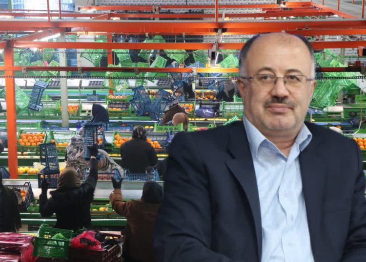 صادرات ۱۷۳۶ محموله مرکبات مازندران/ محرک توسعه پایدار و اشتغال در مناطق روستایی و شهری